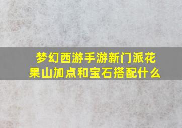 梦幻西游手游新门派花果山加点和宝石搭配什么