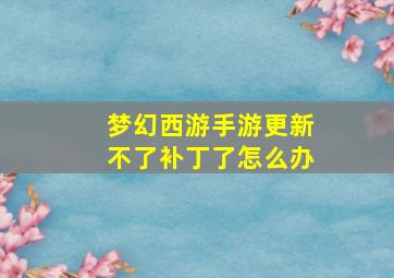 梦幻西游手游更新不了补丁了怎么办