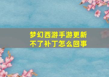 梦幻西游手游更新不了补丁怎么回事