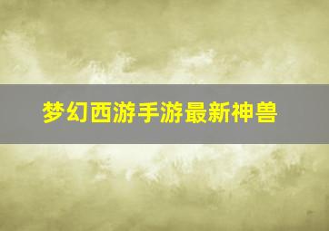 梦幻西游手游最新神兽