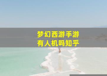 梦幻西游手游有人机吗知乎