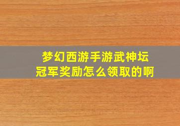 梦幻西游手游武神坛冠军奖励怎么领取的啊