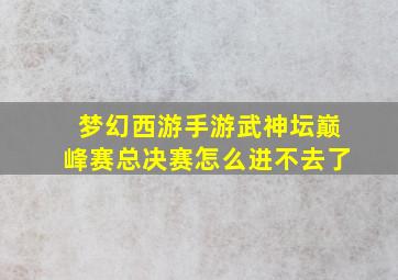 梦幻西游手游武神坛巅峰赛总决赛怎么进不去了