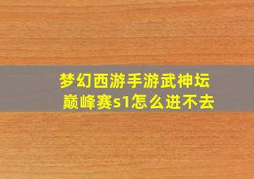 梦幻西游手游武神坛巅峰赛s1怎么进不去