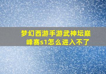 梦幻西游手游武神坛巅峰赛s1怎么进入不了