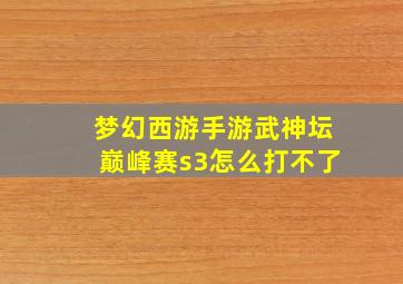 梦幻西游手游武神坛巅峰赛s3怎么打不了