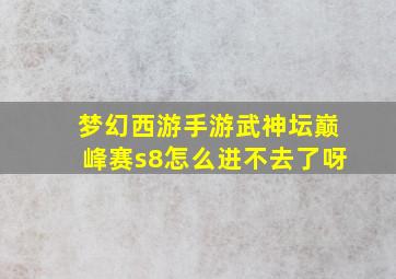 梦幻西游手游武神坛巅峰赛s8怎么进不去了呀