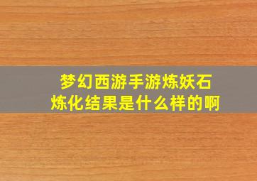 梦幻西游手游炼妖石炼化结果是什么样的啊