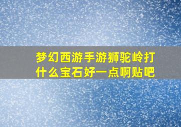 梦幻西游手游狮驼岭打什么宝石好一点啊贴吧