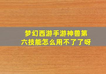 梦幻西游手游神兽第六技能怎么用不了了呀