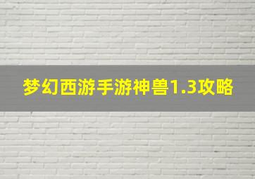 梦幻西游手游神兽1.3攻略