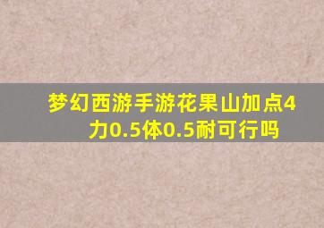 梦幻西游手游花果山加点4力0.5体0.5耐可行吗