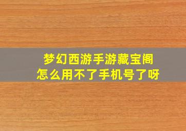 梦幻西游手游藏宝阁怎么用不了手机号了呀