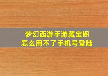 梦幻西游手游藏宝阁怎么用不了手机号登陆