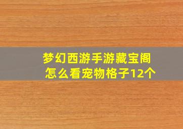 梦幻西游手游藏宝阁怎么看宠物格子12个