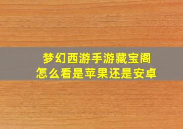 梦幻西游手游藏宝阁怎么看是苹果还是安卓