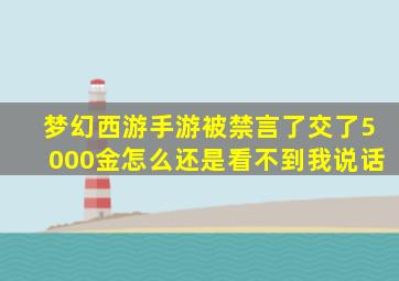 梦幻西游手游被禁言了交了5000金怎么还是看不到我说话