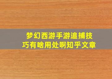 梦幻西游手游追捕技巧有啥用处啊知乎文章