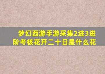 梦幻西游手游采集2进3进阶考核花开二十日是什么花