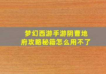 梦幻西游手游阴曹地府攻略秘籍怎么用不了