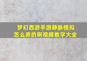 梦幻西游手游静脉模拟怎么弄的啊视频教学大全