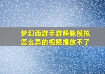 梦幻西游手游静脉模拟怎么弄的视频播放不了