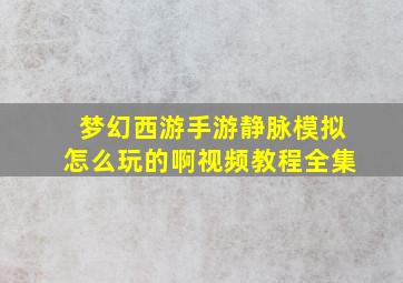 梦幻西游手游静脉模拟怎么玩的啊视频教程全集