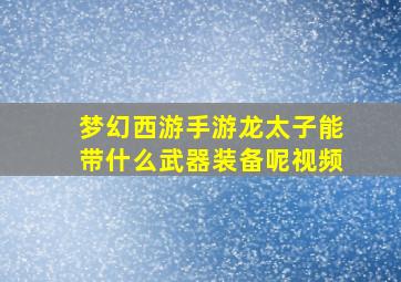 梦幻西游手游龙太子能带什么武器装备呢视频