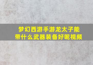 梦幻西游手游龙太子能带什么武器装备好呢视频