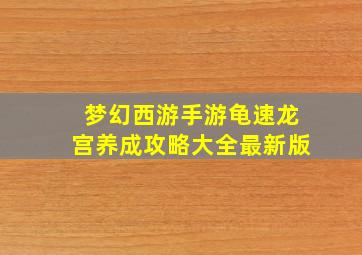 梦幻西游手游龟速龙宫养成攻略大全最新版