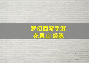 梦幻西游手游 花果山 经脉