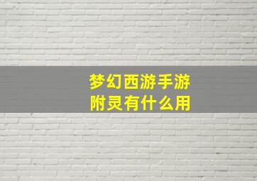 梦幻西游手游 附灵有什么用