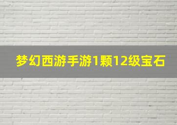 梦幻西游手游1颗12级宝石