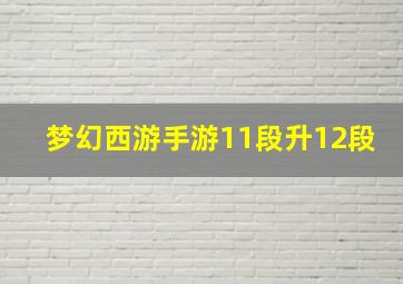 梦幻西游手游11段升12段