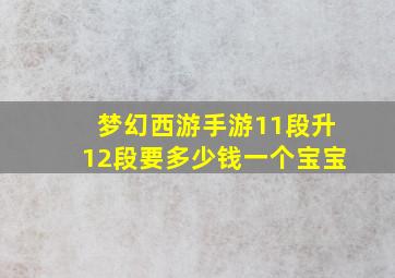 梦幻西游手游11段升12段要多少钱一个宝宝