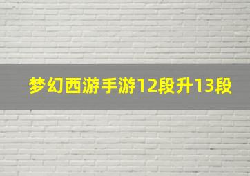 梦幻西游手游12段升13段