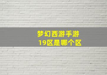 梦幻西游手游19区是哪个区