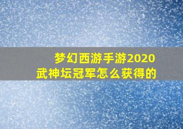 梦幻西游手游2020武神坛冠军怎么获得的