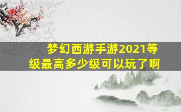 梦幻西游手游2021等级最高多少级可以玩了啊