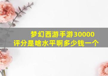 梦幻西游手游30000评分是啥水平啊多少钱一个