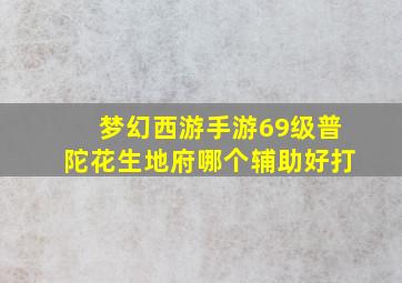 梦幻西游手游69级普陀花生地府哪个辅助好打