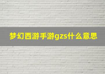 梦幻西游手游gzs什么意思