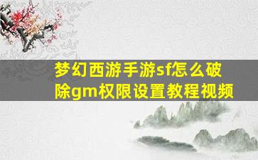 梦幻西游手游sf怎么破除gm权限设置教程视频