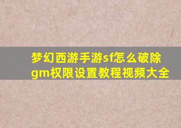 梦幻西游手游sf怎么破除gm权限设置教程视频大全