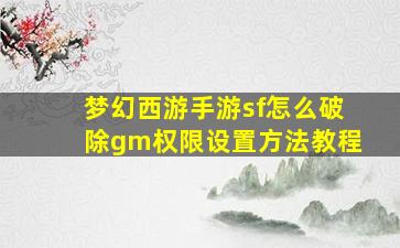 梦幻西游手游sf怎么破除gm权限设置方法教程