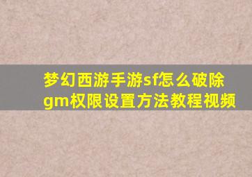 梦幻西游手游sf怎么破除gm权限设置方法教程视频