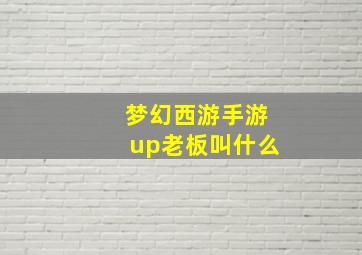 梦幻西游手游up老板叫什么