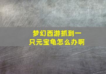 梦幻西游抓到一只元宝龟怎么办啊