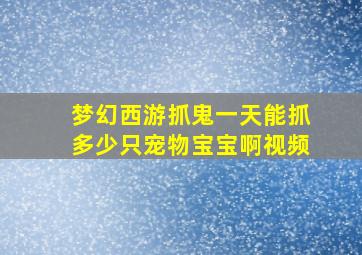 梦幻西游抓鬼一天能抓多少只宠物宝宝啊视频