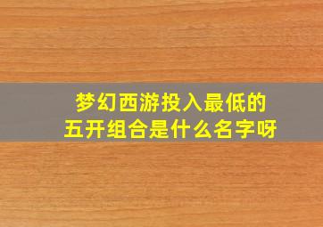 梦幻西游投入最低的五开组合是什么名字呀